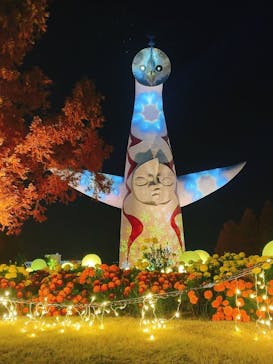 万博記念公園に投稿された画像（2025/11/29）