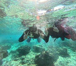 沖縄マリンサービス碧に投稿された画像（2025/11/29）