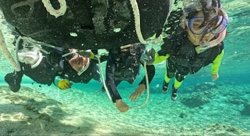 武藤潜水に投稿された画像（2025/11/29）