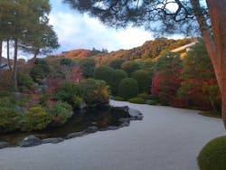 足立美術館に投稿された画像（2025/11/29）