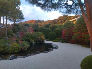 足立美術館に投稿された画像（2025/11/29）