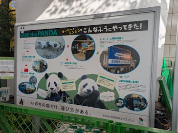 恩賜上野動物園に投稿された画像（2025/11/29）