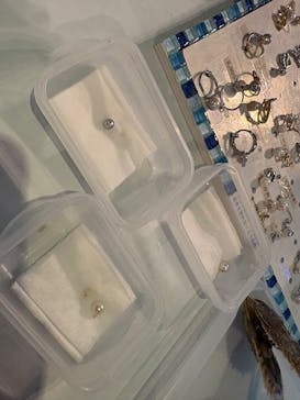 しながわ水族館に投稿された画像（2025/11/29）