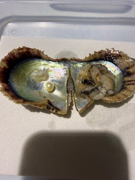 アクアワールド茨城県大洗水族館に投稿された画像（2025/11/29）