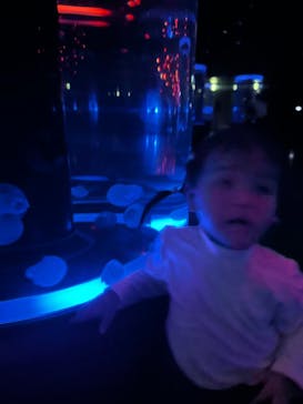 マクセル アクアパーク品川に投稿された画像（2025/11/29）