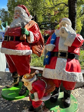 恩賜上野動物園に投稿された画像（2025/11/29）