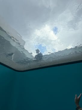 金沢21世紀美術館に投稿された画像（2025/11/29）