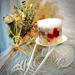 ずこうしつ〜sugamo〜に投稿された画像（2025/11/29）