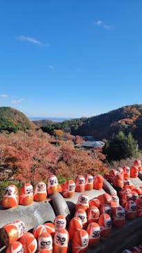 勝尾寺に投稿された画像（2025/11/29）