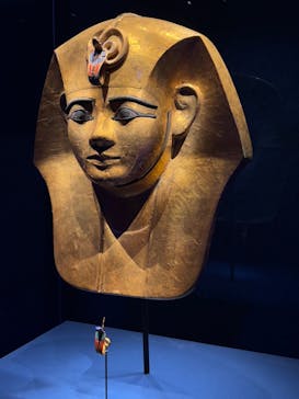 ACN ラムセス大王展 ファラオたちの黄金に投稿された画像（2025/11/29）