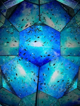 ひらかたパークに投稿された画像（2025/11/29）