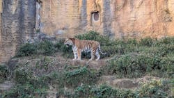 東京動物園協会_多摩動物公園に投稿された画像（2025/11/29）