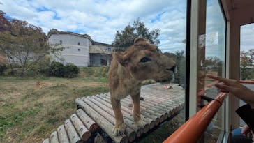 東京動物園協会_多摩動物公園に投稿された画像（2025/11/29）