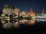 国営昭和記念公園 秋の夜散歩に投稿された画像（2025/11/29）