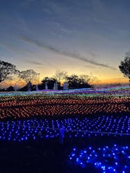 マザー牧場に投稿された画像（2025/11/24）