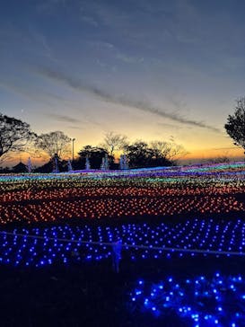 マザー牧場に投稿された画像（2025/11/24）