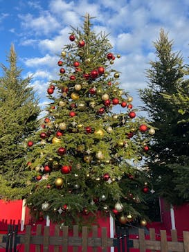 Christmas Market in 横浜赤レンガ倉庫 2025に投稿された画像（2025/11/29）