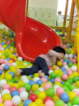 キッズランドUS 仙台錦ヶ丘店に投稿された画像（2025/11/29）