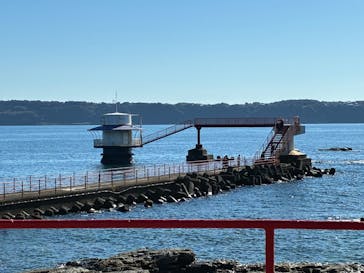 串本海中公園水族館に投稿された画像（2025/11/29）