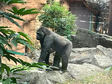 恩賜上野動物園に投稿された画像（2025/11/29）