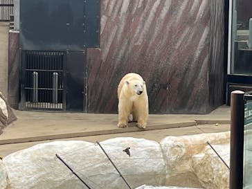 恩賜上野動物園に投稿された画像（2025/11/29）