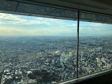 横浜ランドマークタワー 69階展望フロア スカイガーデンに投稿された画像（2025/11/29）