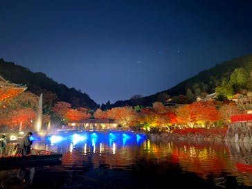 勝尾寺に投稿された画像（2025/11/29）