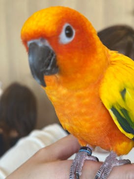 Moff animal cafe 小田原ダイナシティ店に投稿された画像（2025/11/29）