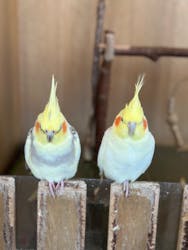 Moff animal cafe 小田原ダイナシティ店に投稿された画像（2025/11/29）