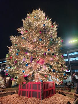 Christmas Market in 横浜赤レンガ倉庫 2025に投稿された画像（2025/11/29）
