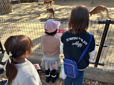 名古屋市東山動植物園に投稿された画像（2025/11/29）