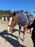 乗馬クラブ 千葉ライディングパークに投稿された画像（2025/11/29）