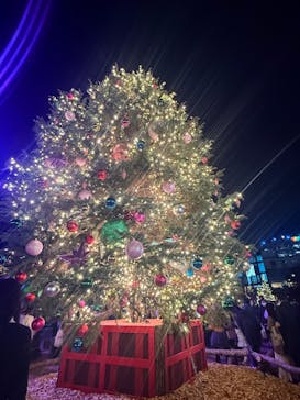 Christmas Market in 横浜赤レンガ倉庫 2025に投稿された画像（2025/11/29）