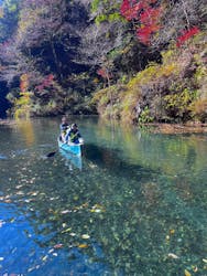 ぼちぼちアドベンチャーすそのに投稿された画像（2025/11/29）