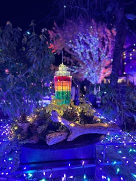 江の島シーキャンドルに投稿された画像（2025/11/29）