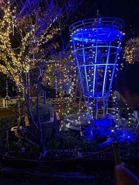 江の島シーキャンドルに投稿された画像（2025/11/29）