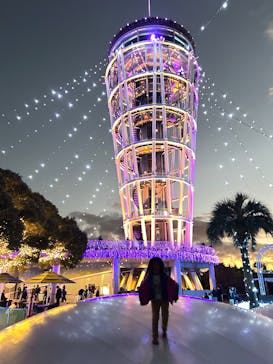 江の島シーキャンドルに投稿された画像（2025/11/29）