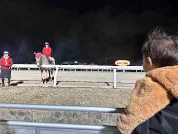 東京メガイルミに投稿された画像（2025/11/29）