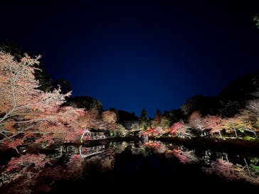 名古屋市東山動植物園に投稿された画像（2025/11/29）