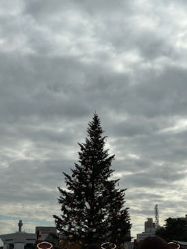 Christmas Market in 横浜赤レンガ倉庫 2025に投稿された画像（2025/11/29）