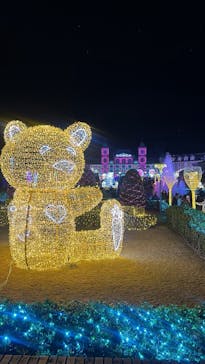 神戸イルミナージュに投稿された画像（2025/11/29）