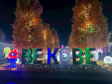 神戸イルミナージュに投稿された画像（2025/11/29）