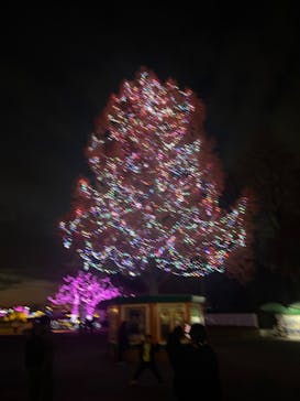 東武動物公園に投稿された画像（2025/11/29）