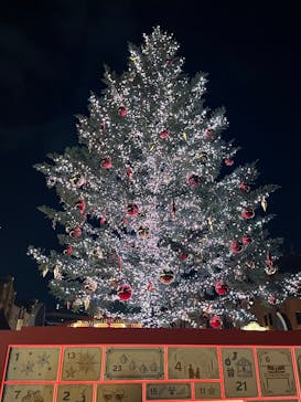 Christmas Market in 横浜赤レンガ倉庫 2025に投稿された画像（2025/11/29）