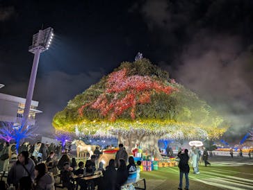 東京メガイルミに投稿された画像（2025/11/29）