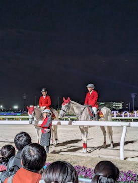 東京メガイルミに投稿された画像（2025/11/29）