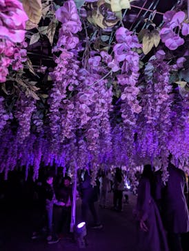 東京メガイルミに投稿された画像（2025/11/29）