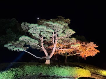 国営昭和記念公園 秋の夜散歩に投稿された画像（2025/11/29）