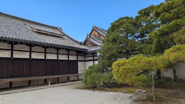 元離宮二条城に投稿された画像（2025/11/29）