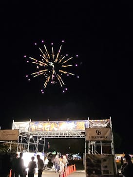 第5回花火甲子園に投稿された画像（2025/11/29）